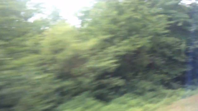 весило едим на рицу и в афонскую пещеру смотреть онлайн