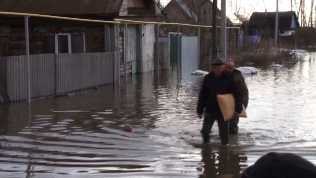 КАКИМ БУДЕТ ПАВОДОК? смотреть онлайн