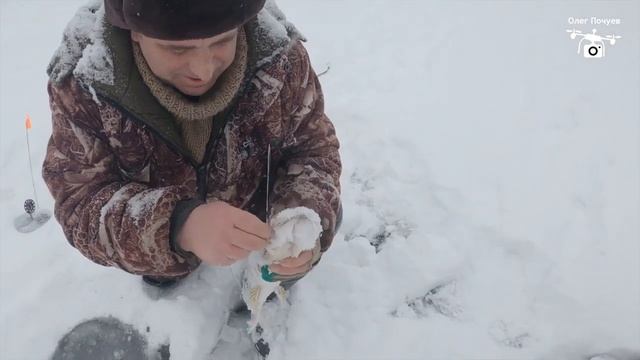 Рыбалка, первая зимняя 17.12.2021 смотреть онлайн