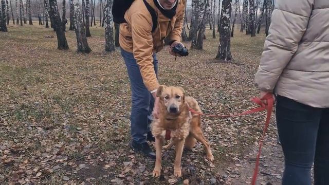 Лапа дружбы 13.11.2021