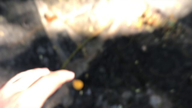 Puerto Rico Vacation. Caribbean Islands смотреть онлайн