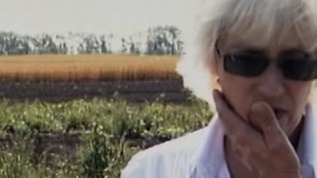 Какие сорта картофеля выбирать для посадки на участке? смотреть онлайн