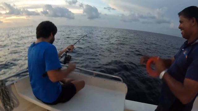 O LADO TURÍSTICO DAS MALDIVAS смотреть онлайн