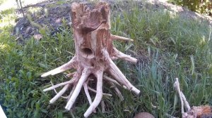 КОРЯГА ДЛЯ АКВАРИУМА СВОИМИ РУКАМИ.