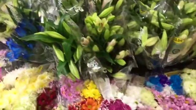 Шопинг по-английски. ALDI. Про цветы. смотреть онлайн