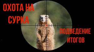 ОХОТА на СУРКА 2. Подведение итогов.