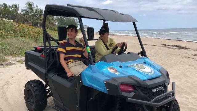 Sea Turtle Adventures смотреть онлайн