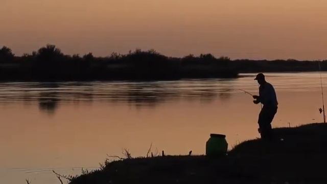 Ловля сазана на реке Или 27.09.2019 смотреть онлайн