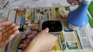 Роза из семян.Выращивание.Советуем его посмотреть.