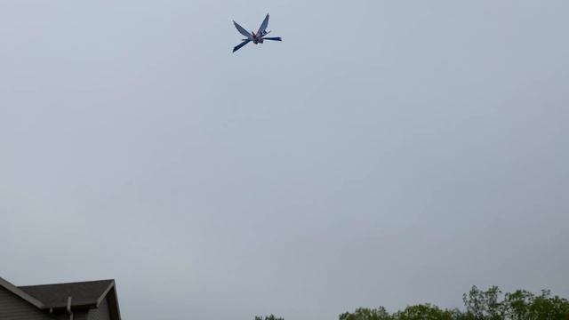 THIS RC BIRD ACTUALLY FLIES! смотреть онлайн