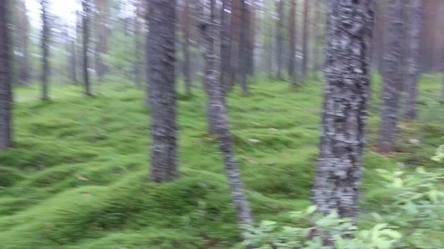 БОЛЬШАЯ ЩУКА НА СПИННИНГ!!! РЫБАЛКА В ДЕРЕВНЕ КОЙКАРЫ В КАРЕЛИИ. смотреть онлайн