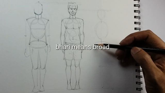 Human Body Proportion Drawing/Step by Step смотреть онлайн
