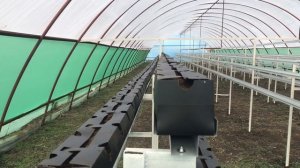 Технология гидропоники - конструкция для лотков. Клубника на малообъемной гидропонике