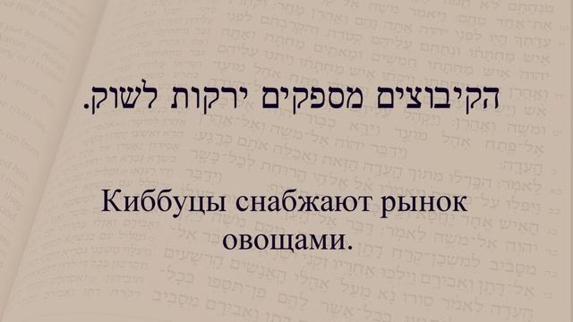 Глаголы в иврите. Глаголы 161 - 170. Спряжение глаголов в предложениях. Изучение иврита. смотреть онлайн