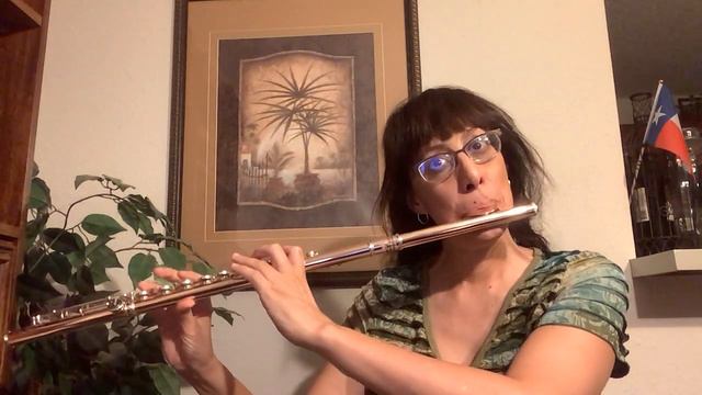 Powell Conservatory Flute in 9k Aurumite, Sterling Mechanism, Solid 9k Gold Lip, Straubinger Pads смотреть онлайн