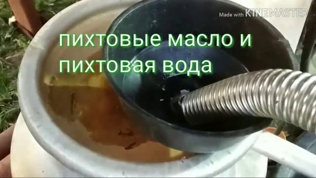 Фильтрация пихтового эфирного масла. смотреть онлайн