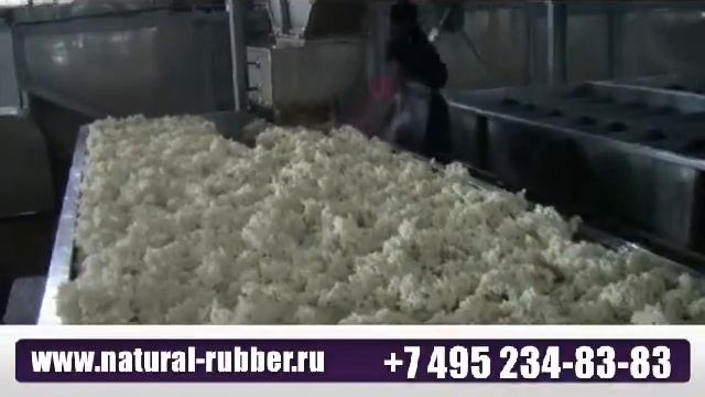 Процесс производства натурального каучука SVR-3L смотреть онлайн