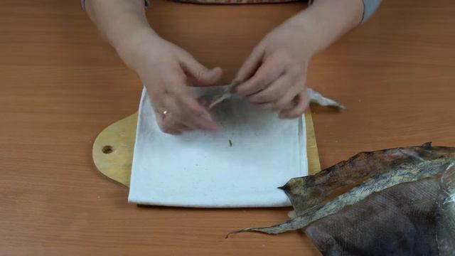 Выделка и работа с рыбьей кожей (продолжение) смотреть онлайн
