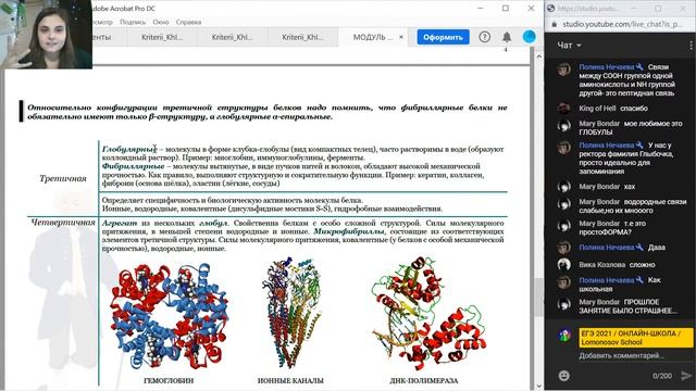 ЕГЭ 2021 по биологии: Химический состав клетки. Белки или белки? Биолог или лесник? смотреть онлайн