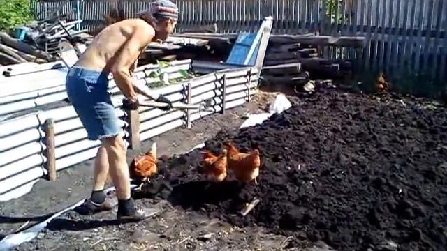 Копка земли с орнитологической поддержкой смотреть онлайн