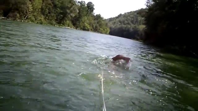 Плавание в открытой воде смотреть онлайн