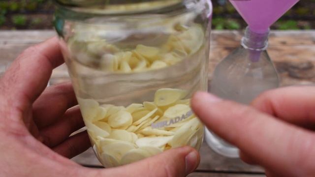 ?Alcohol de AJO Concentrado. Potente REPELENTE para Plantas - смотреть онлайн