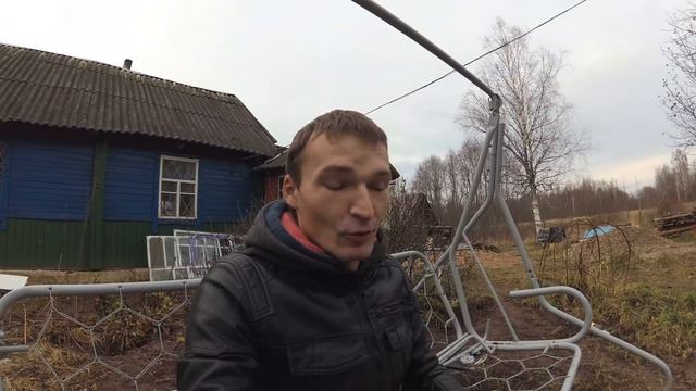 Про кота и кошку из приюта смотреть онлайн
