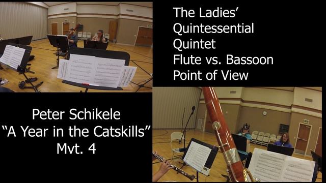 Flute vs Bassoon POV: Ladies' Quintessential Quintet смотреть онлайн