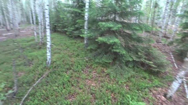 Проехал по прибору! Накопал 830 кг за день. Удачный/неудачный день? смотреть онлайн