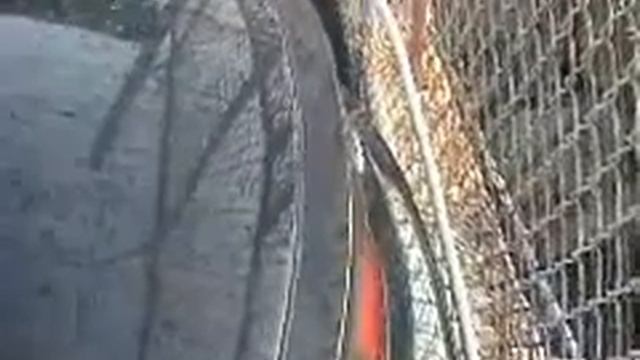 VideoVoom - Car #166 - 1999 Ford Taurus смотреть онлайн