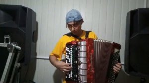 Классный АРЦАХ на электробаяне Айгон Михайлян Электробаян Шевцова В. В.)