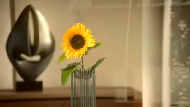 Toyota Venza смотреть онлайн