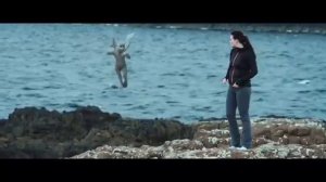 Таймлесс 3 : Изумрудная книга