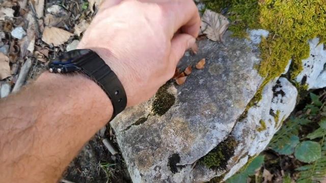 ?ВОСХОЖДЕНИЕ НА ГОРУ ПИЛАТУС - ЧАСТЬ 1? смотреть онлайн