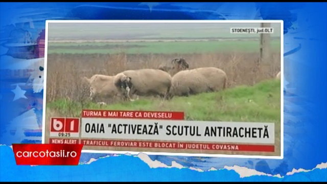 material oi смотреть онлайн