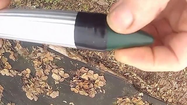 Пугатель грызунов смотреть онлайн