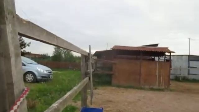 Лошадка, шелтер и паддок смотреть онлайн
