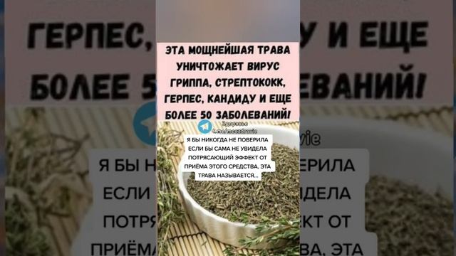 мощная трава более чем от 50 заболеваний #полезныесоветы #здоровье #зож #медицина смотреть онлайн