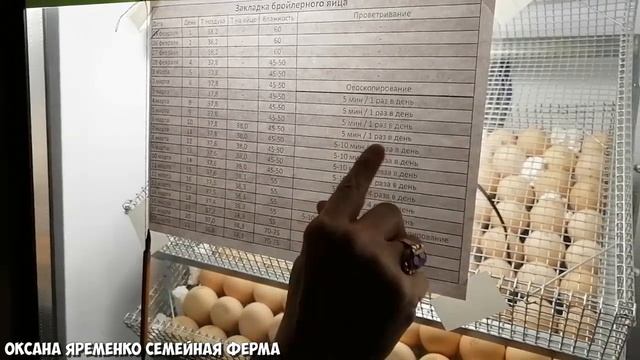 РЕЖИМ инкубации / Инкубация БРОЙЛЕРОВ/ Пошаговая инструкция