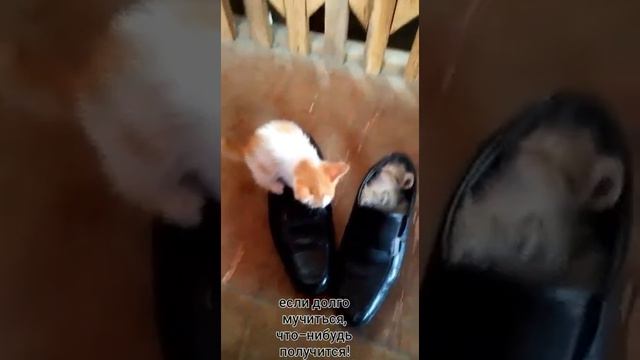 если долго мучиться ,что-нибудь получится смотреть онлайн