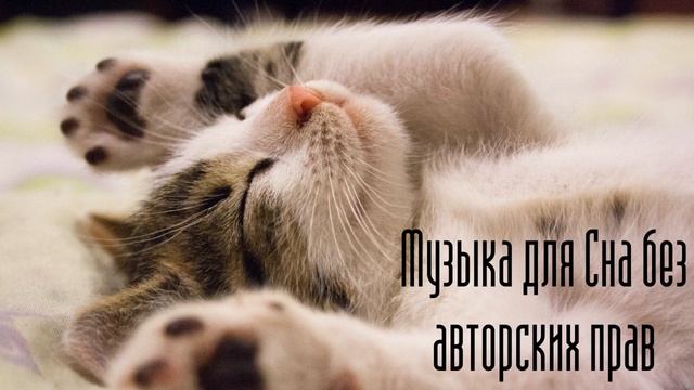 Музыка для Сна без авторских прав #80 // No Copyright Music