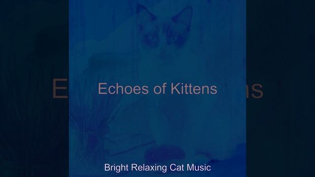Groovy Music for Sleeping Cats смотреть онлайн
