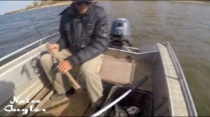 Ловля судака и берша в Трехречье на малька