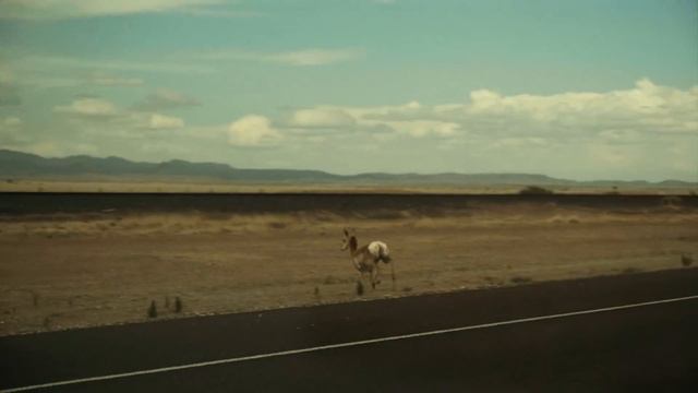 Creedence Clearwater Revival - Fortunate Son (Official Music Video) смотреть онлайн