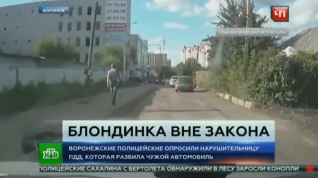 2 Вонючки,обезьяны за рулем.... смотреть онлайн