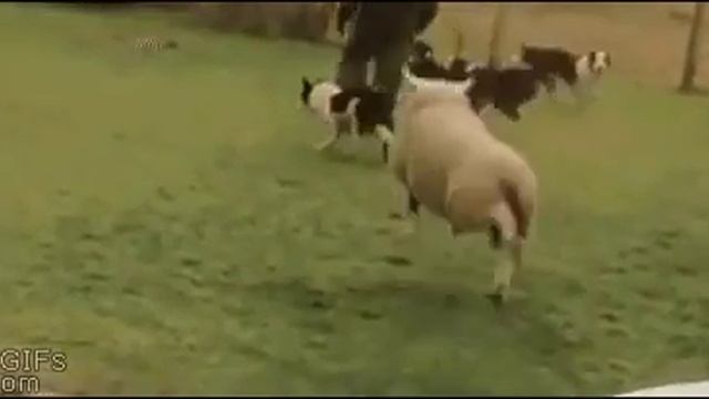 Как влиться в коллектив смотреть онлайн