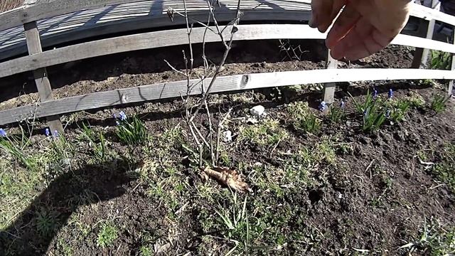 Что меня ждало на даче Испорченные замки и прыжок через забор смотреть онлайн