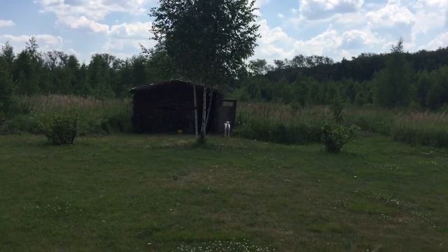 Коза на дачах во Фруктовой смотреть онлайн