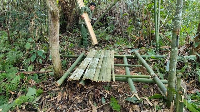 Set a Big Trap Waiting for Wild Animals to Fall Trap, Trap Wild Boars, Survival Instinct смотреть онлайн