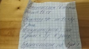 питомниковый кашель у собак, симптомы

и как лечили .